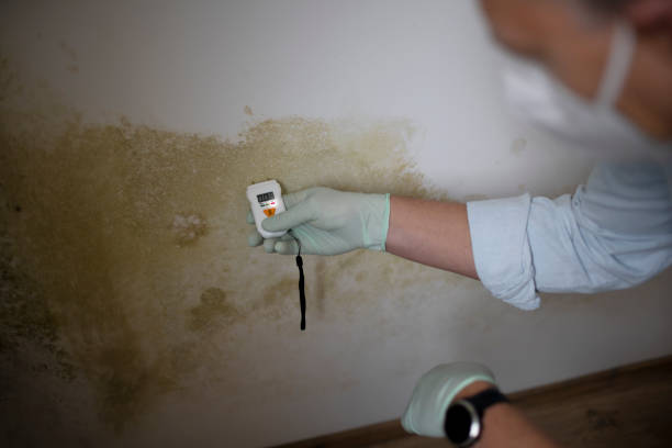 Best Mold Testing  in Mulberry, AR