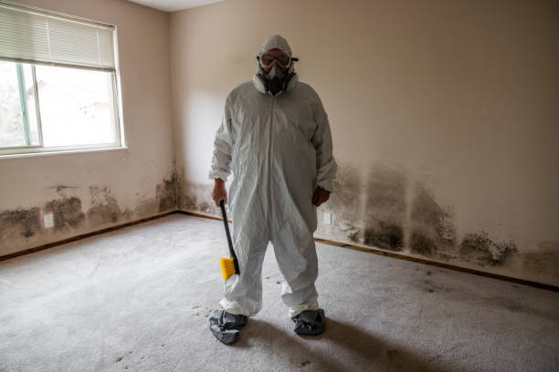 Best Crawl Space Mold Removal  in Mulberry, AR
